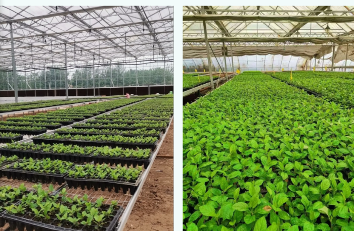 abb5a947-5f62-405f-b755-9514cd81ffaf.png abb5a947-5f62-405f-b755-9514cd81ffaf.png