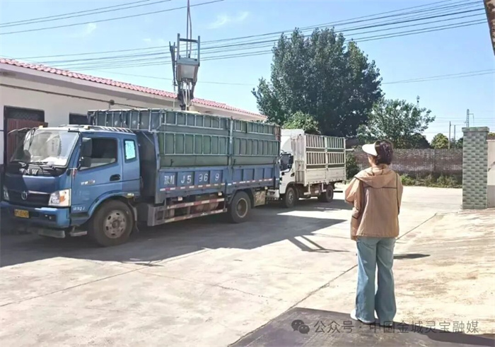 7.jpg 7.jpg